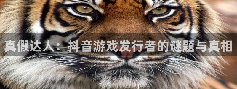 广东db电竞电子科技有限公司：真假达人：抖音游戏发行者的谜题与真相
