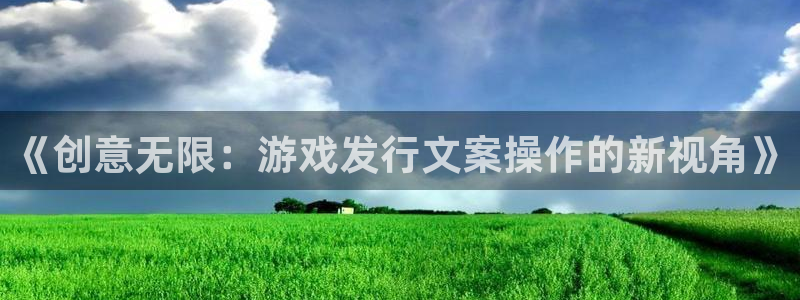 db电竞干红葡萄酒750毫升多少钱：《创意无限：游戏发行文案操作的新视角》