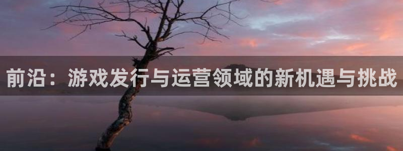 db电竞官网代理开号平台：前沿：游戏发行与运营领域的新机遇与挑战