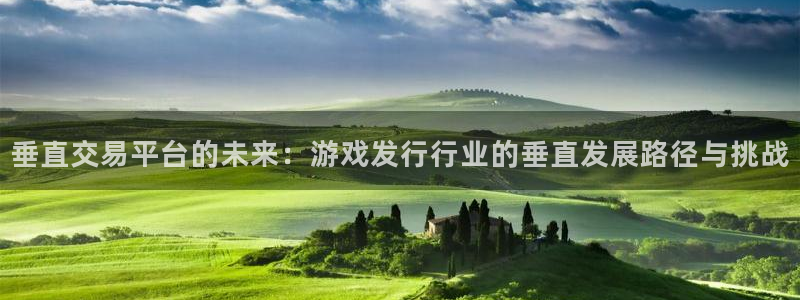 db电竞智得官网：垂直交易平台的未来：游戏发行行业的垂直发展路径与挑战