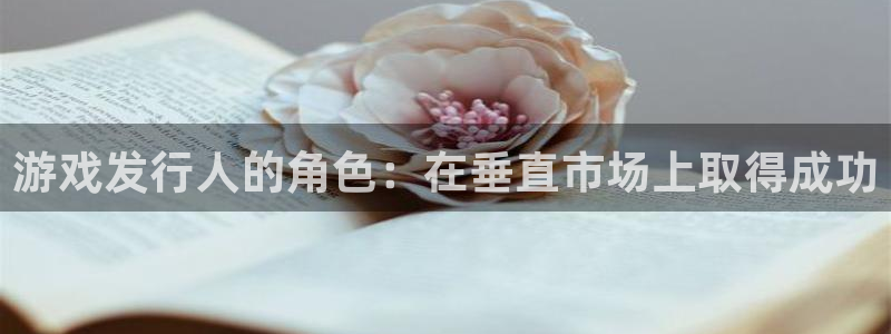 db电竞子的所有小说：游戏发行人的角色：在垂直市场上取得成功
