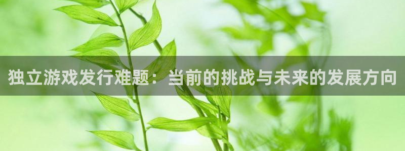 db电竞电子商务有限公司地址：独立游戏发行难题：当前的挑战与未来的发展方向