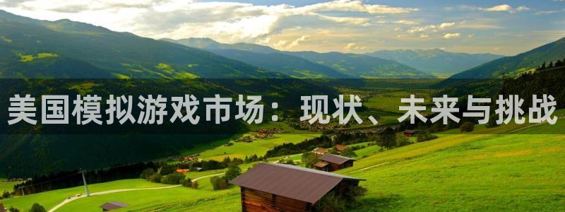db电竞官网登录注册账号失败：美国模拟游戏市场：现状、未来与挑战
