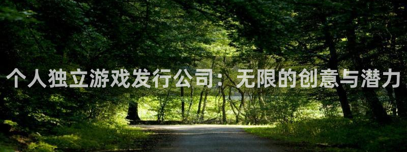 db电竞装饰：个人独立游戏发行公司：无限的创意与潜力