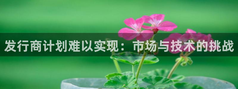 深圳db电竞电商