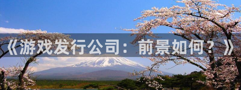 db电竞子签约作家：《游戏发行公司：前景如何？》