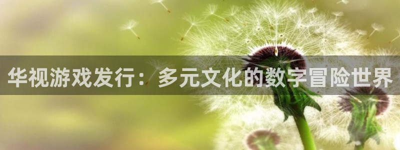 广东db电竞电子商务有限公司：华视游戏发行：多元文化的数字冒险世界