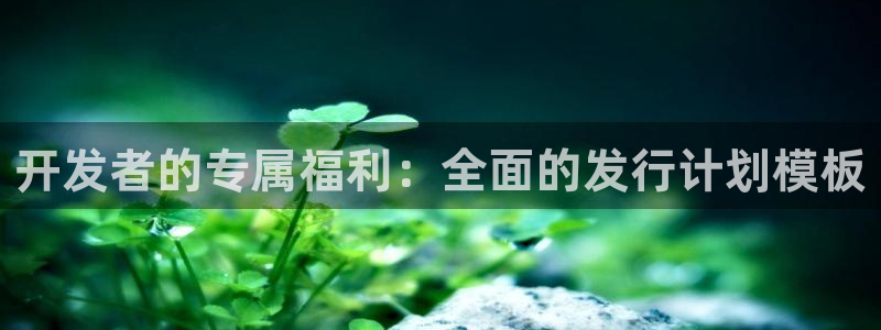 db电竞电子商务有限公司：开发者的专属福利：全面的发行计划模板
