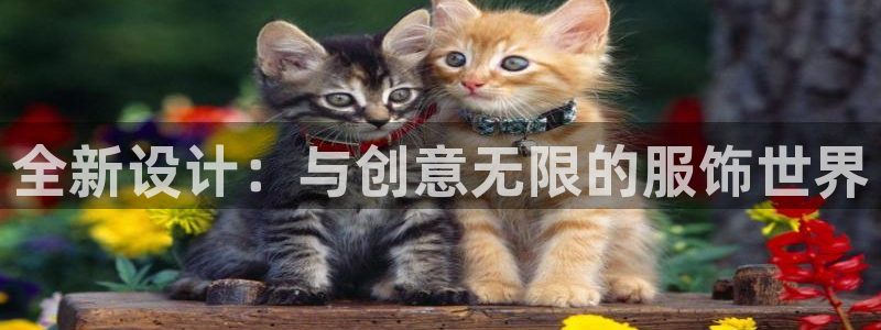 db电竞子书单：全新设计：与创意无限的服饰世界