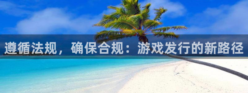 db电竞官网客服服务怎么样：遵循法规，确保合规：游戏发行的新路径