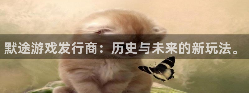 db电竞科技股票