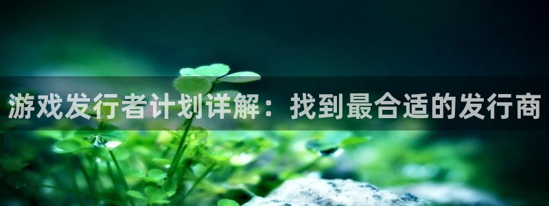 db电竞官网注册平台：游戏发行者计划详解：找到最合适的发行商
