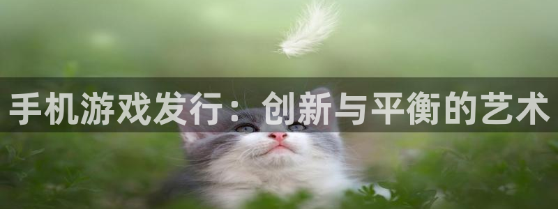 db电竞官网游戏怎么注册：手机游戏发行：创新与平衡的艺术