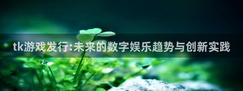 db电竞官网解绑银行卡：tk游戏发行:未来的数字娱乐趋势与创新实践