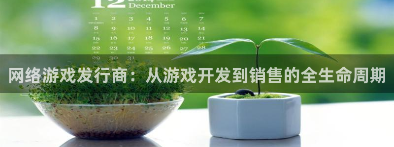 db电竞官网招商主管：网络游戏发行商：从游戏开发到销售的全生命周期