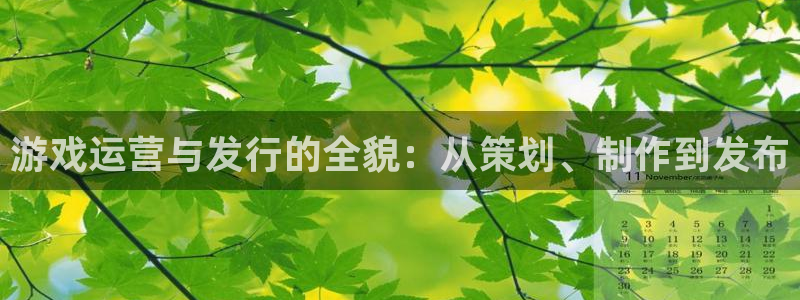 db电竞官网客服服务电话：游戏运营与发行的全貌：从策划、制作到发布