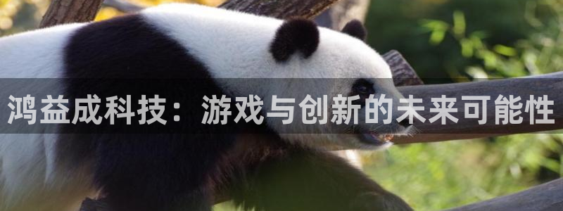 db电竞子书店：鸿益成科技：游戏与创新的未来可能性