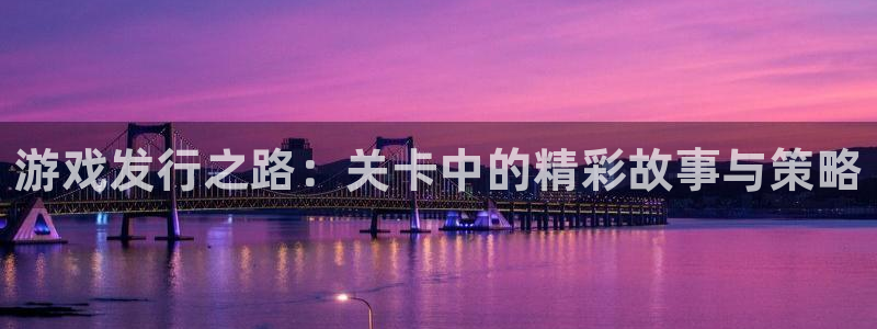 db电竞子文化是什么：游戏发行之路：关卡中的精彩故事与策略